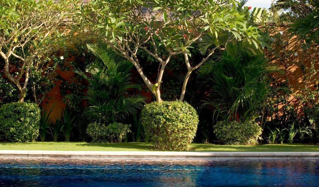 The Kunja Villa-Hotel Σεμινιάκ Εξωτερικό φωτογραφία